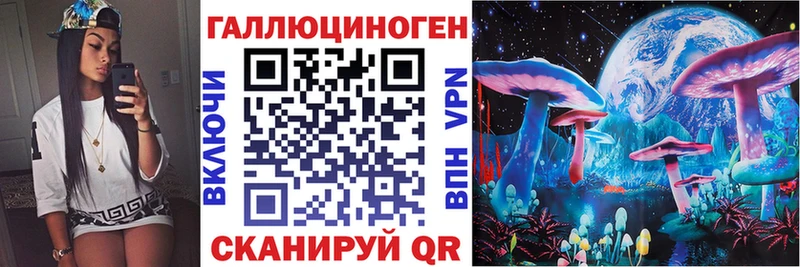 Галлюциногенные грибы Psilocybe  Купить закладки  Белореченск 